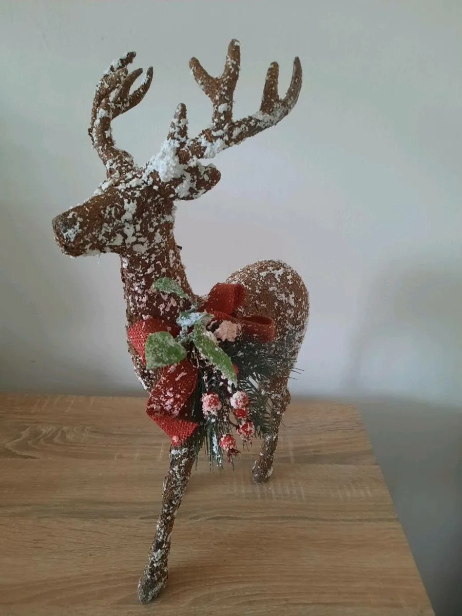Christmas  Reindeer - Image 2