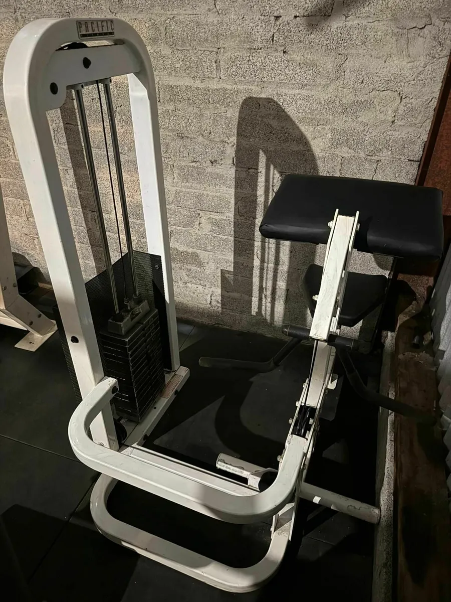 Pacific Fitness Preacher Curl Machine (Commercial) - Image 1