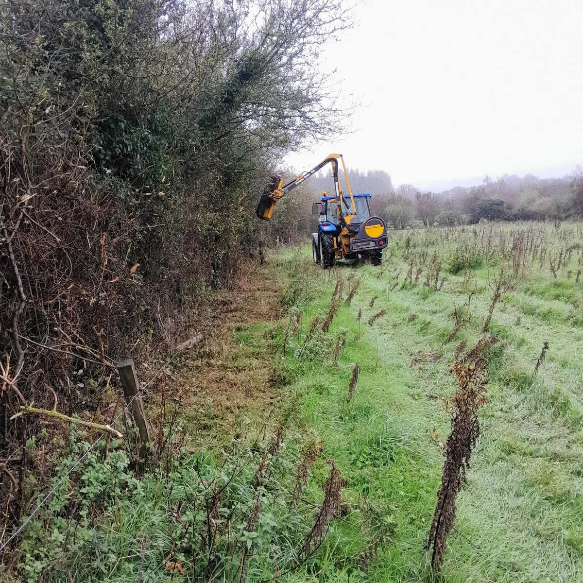 Hedge cutting services - Image 4