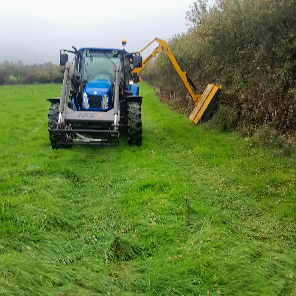 Hedge cutting services - Image 2