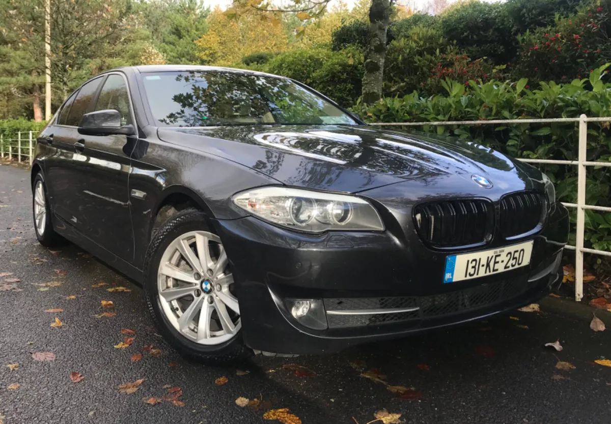 BMW 5-Series 520d Spots M Leather - Image 2