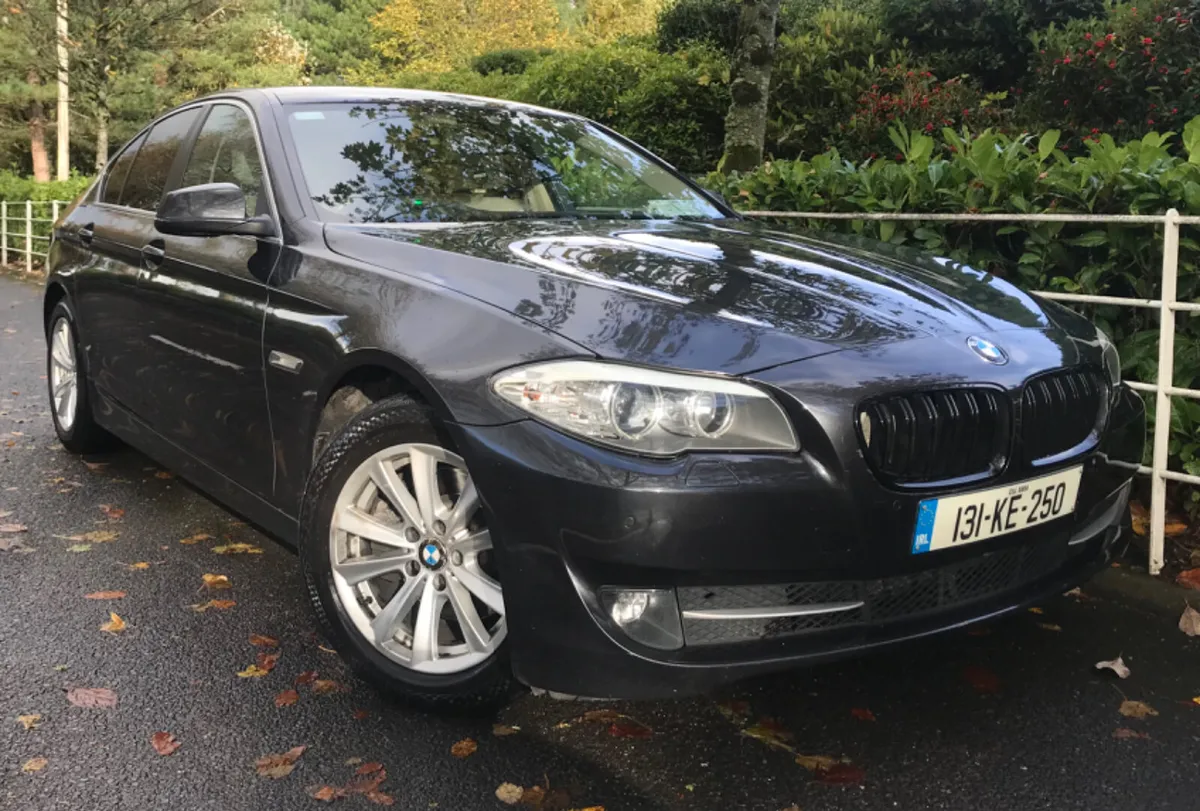 BMW 5-Series 520d Spots M Leather - Image 3