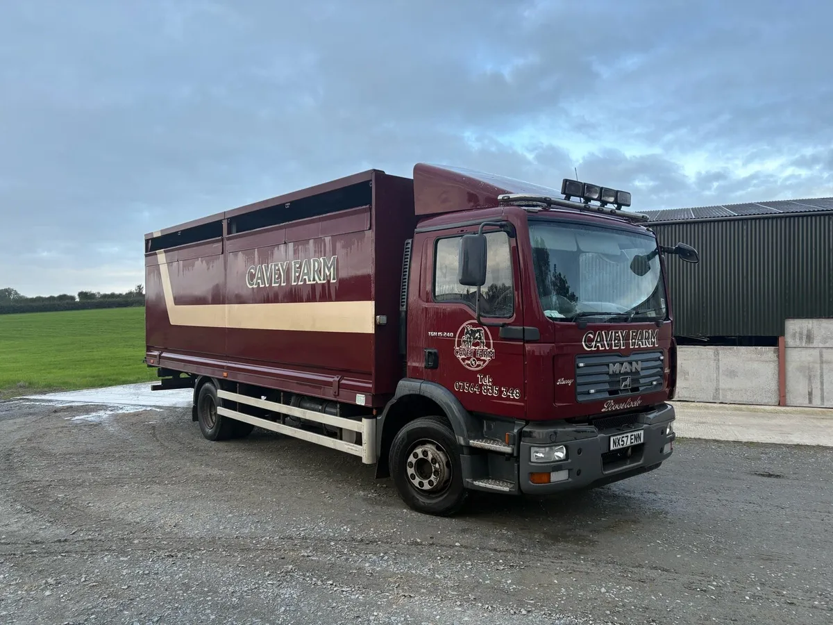 2007 MAN Cattle Livestock lorry - Image 1