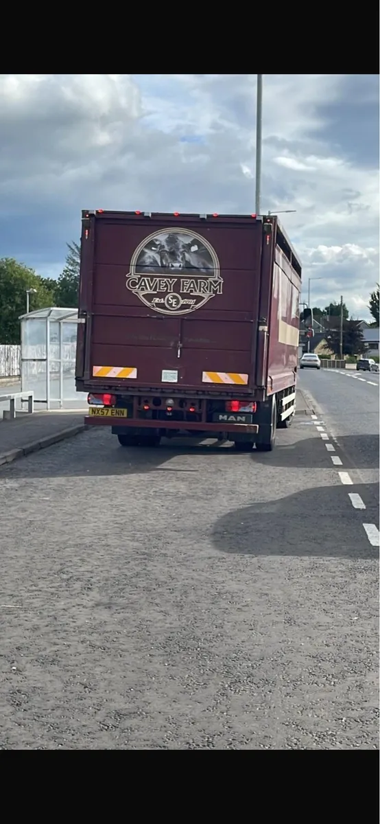 2007 MAN Cattle Livestock lorry - Image 4