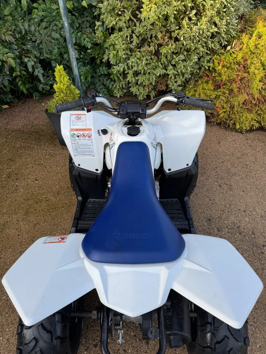 Suzuki LTZ 90cc quad - Image 2