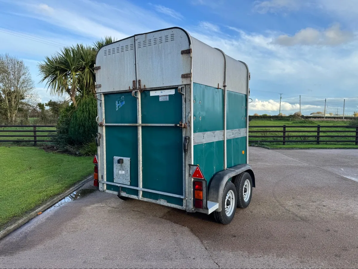 Ifor Williams Horse box  HB 505R - Image 3
