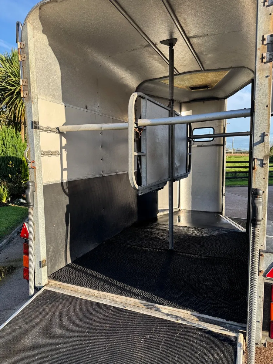 Ifor Williams Horse box  HB 505R - Image 4