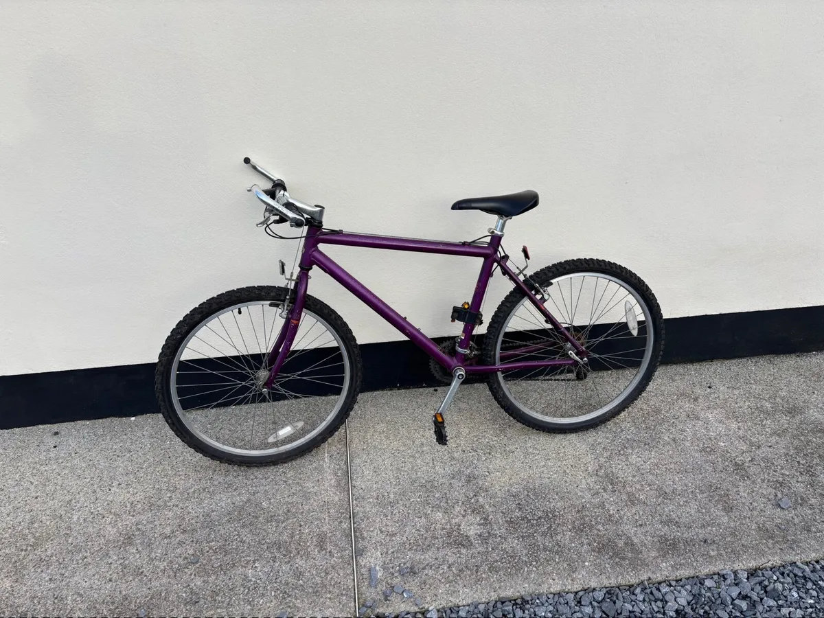 Bike 120 or nearest offer - Image 1