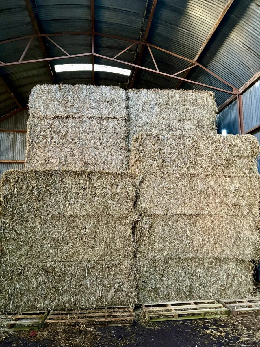 Hay - Image 1
