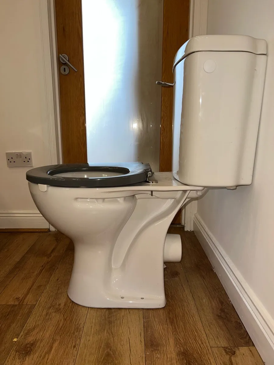 Toilet and Sink - Image 1