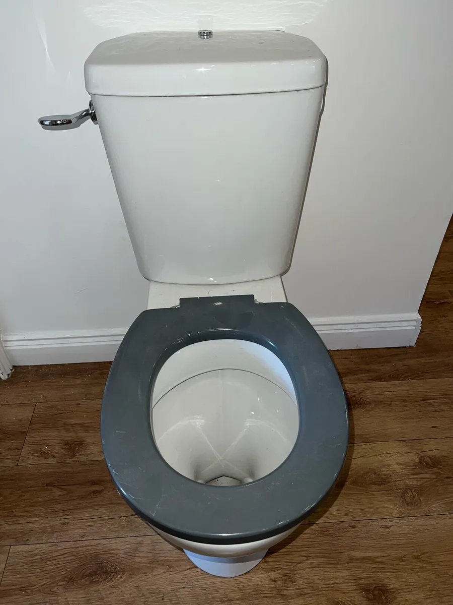 Toilet and Sink - Image 4