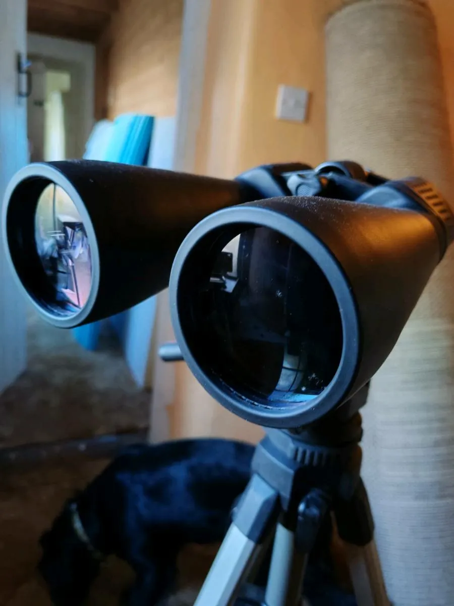 Celestron Binoculars - Image 3