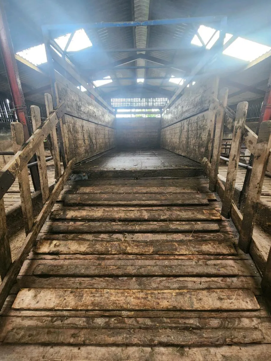 Cattle trailer 18ft - Image 3