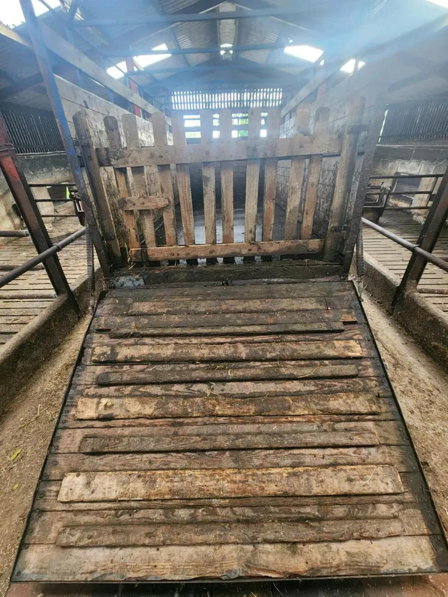 Cattle trailer 18ft - Image 4