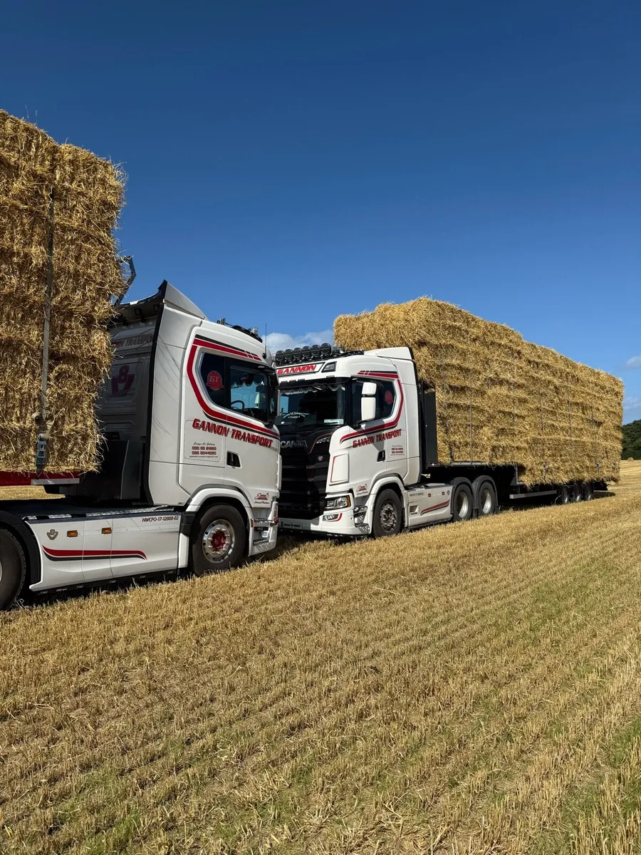 8x4x3 barley and wheaten straw - Image 1