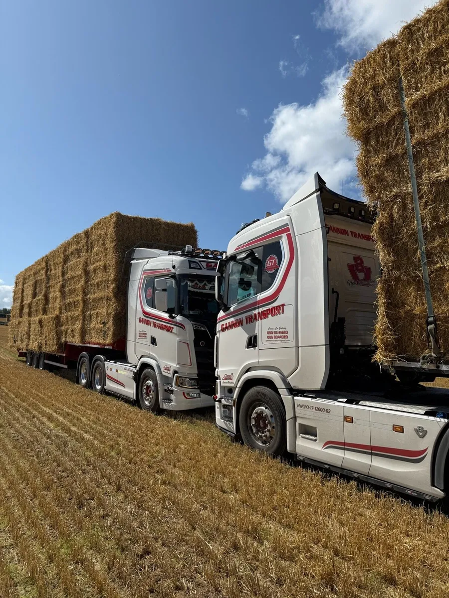 8x4x3 barley and wheaten straw - Image 2