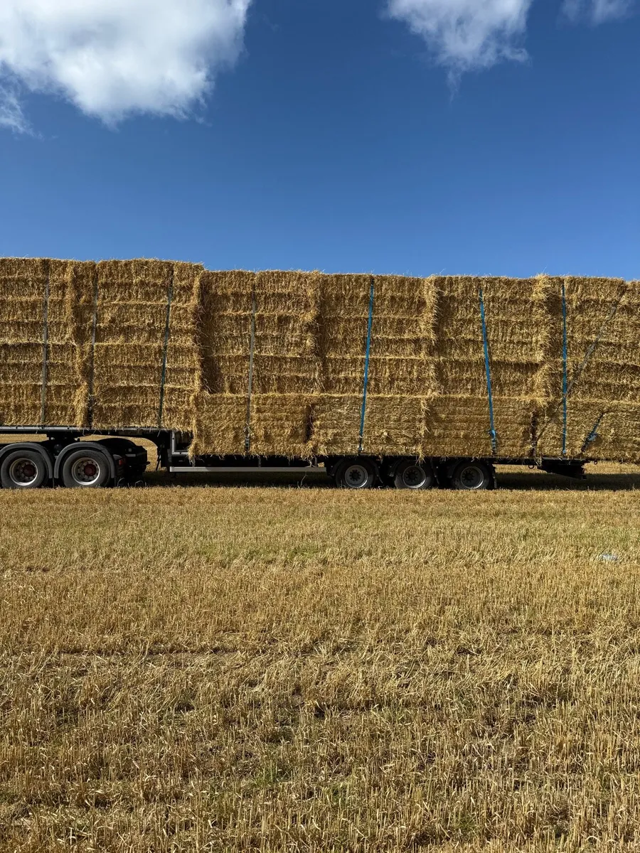 8x4x3 barley and wheaten straw - Image 3