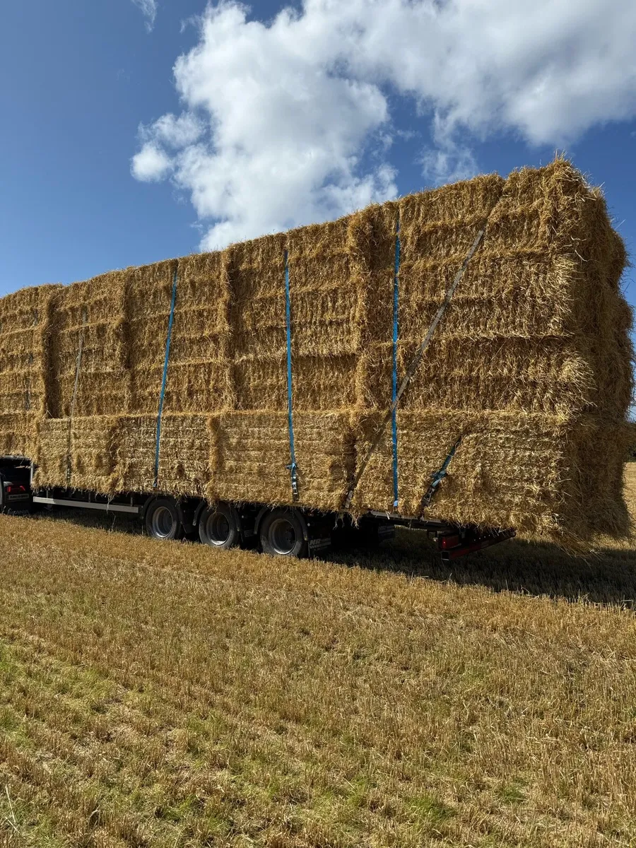 8x4x3 barley and wheaten straw - Image 4