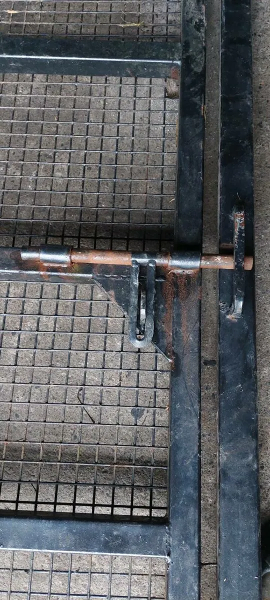 Pedestrian Security Gate - Image 2