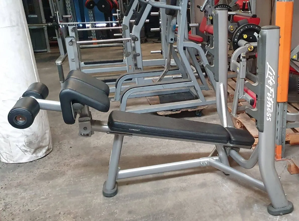 FREE Life Fitness OLYMPIC DECLINE BENCH