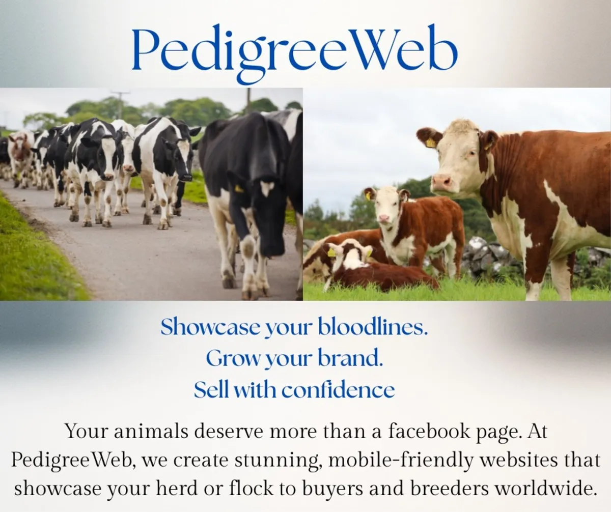 🐮 PedigreeWeb - Custom websites for breeders 🐑