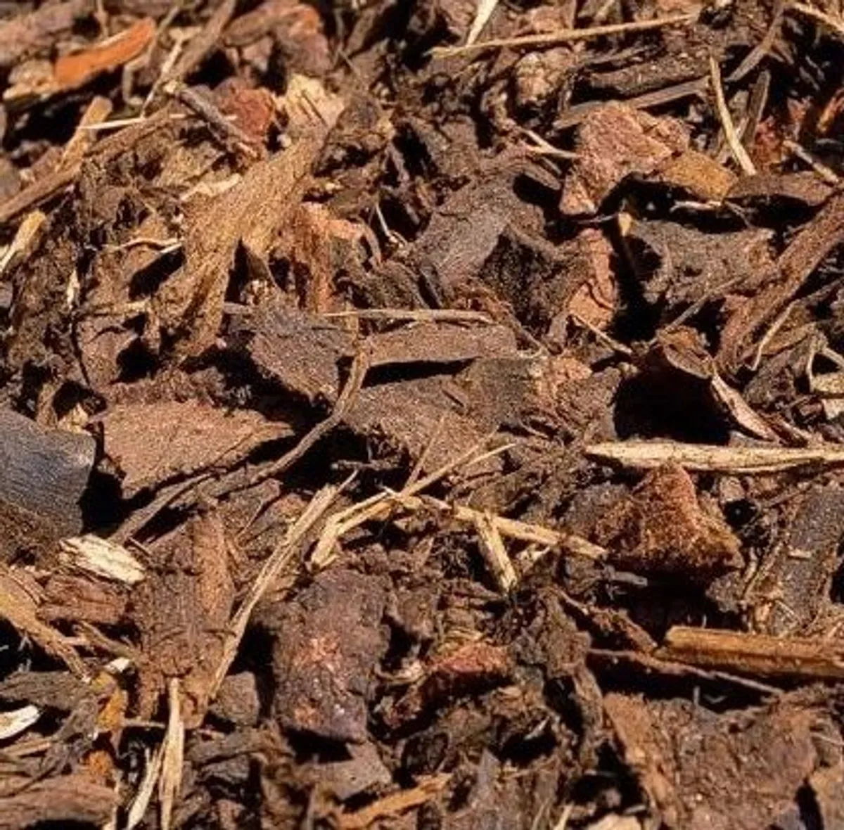 Fireplace - Landscape Infinix IX 900 - Image 3