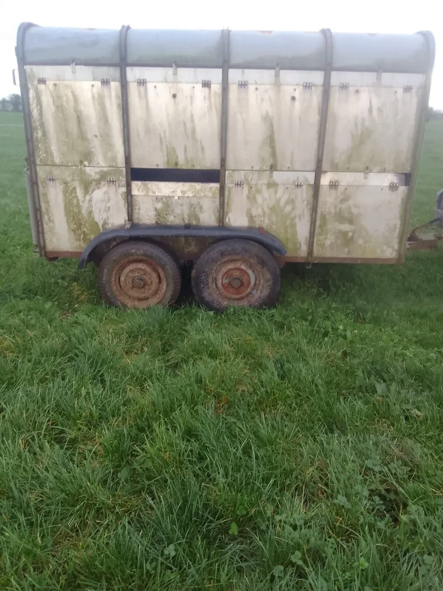 Cattle trailer - Image 2