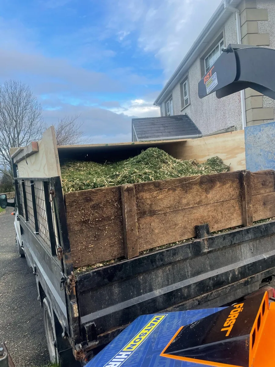 Wood chippings - Image 2