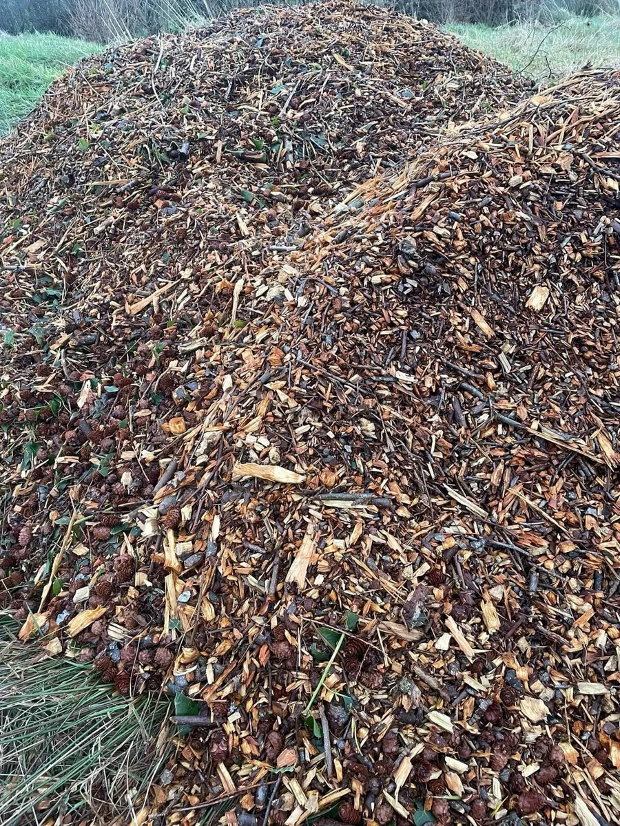 Wood chippings - Image 3