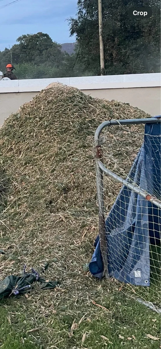 Wood chippings - Image 4