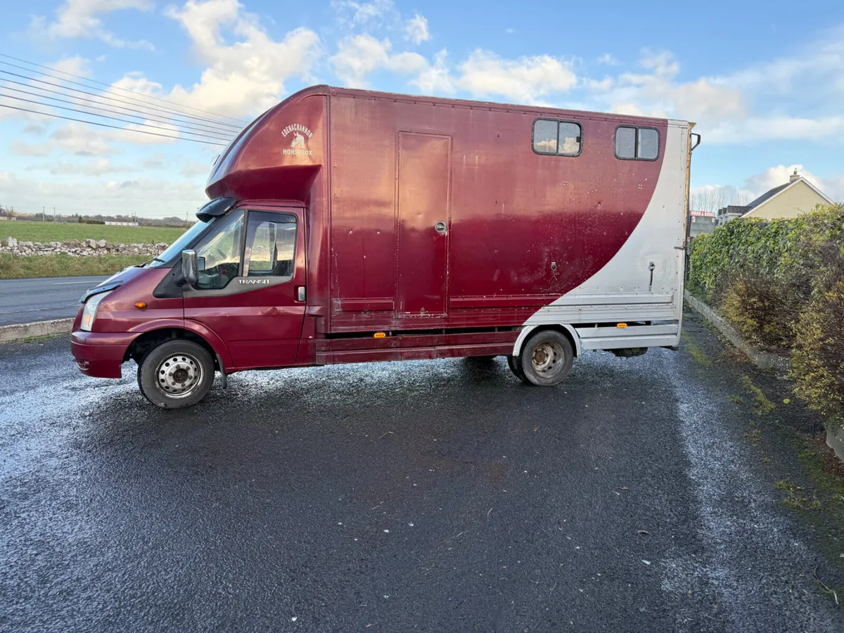 Ford Transit horse truck - Image 2