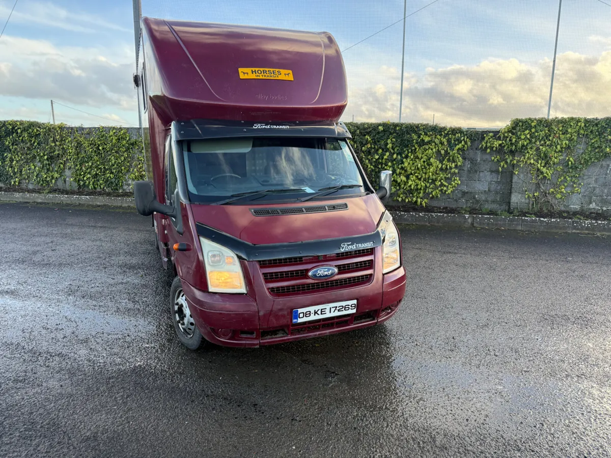 Ford Transit horse truck - Image 4