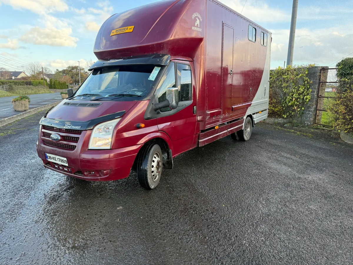 Ford Transit horse truck - Image 1