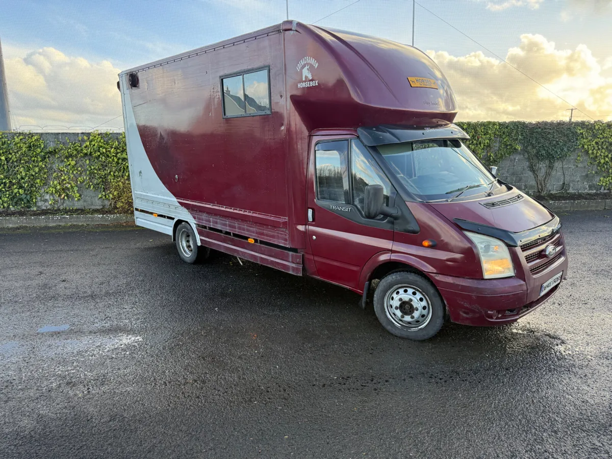 Ford Transit horse truck - Image 3