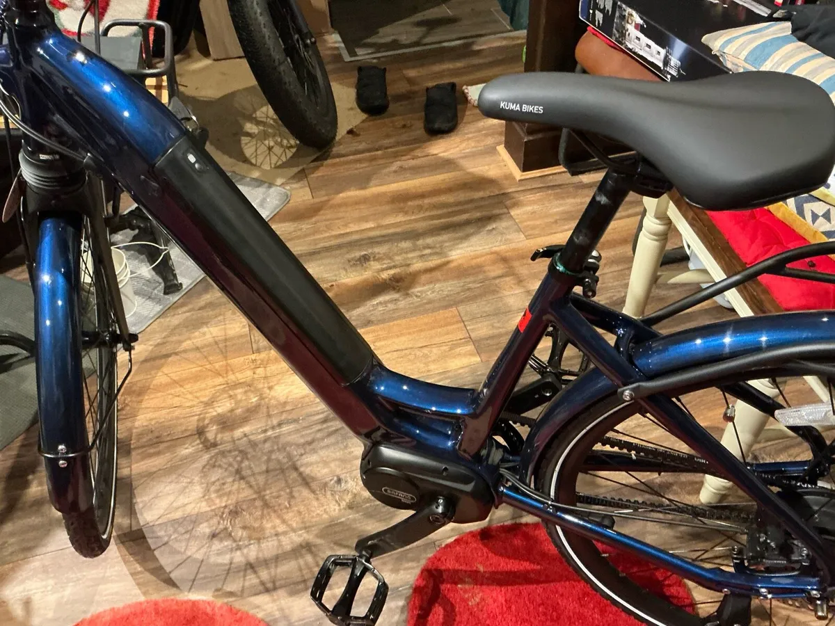 Kuma e-bike - Image 2