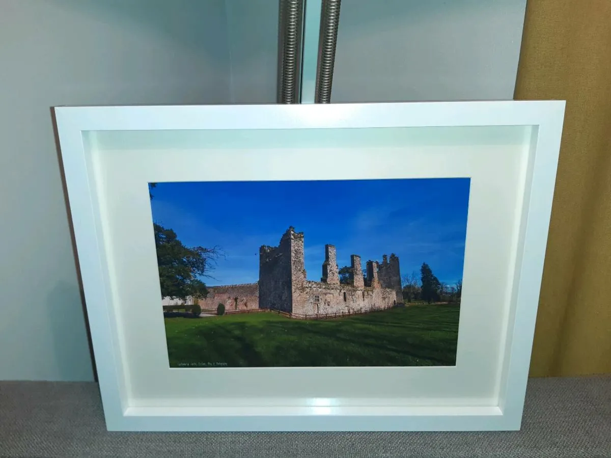 Castlemartyr Castle and Gardens - Image 1