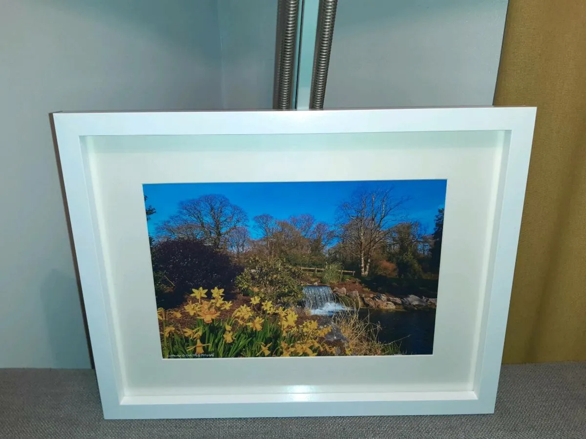 Castlemartyr Castle and Gardens - Image 2