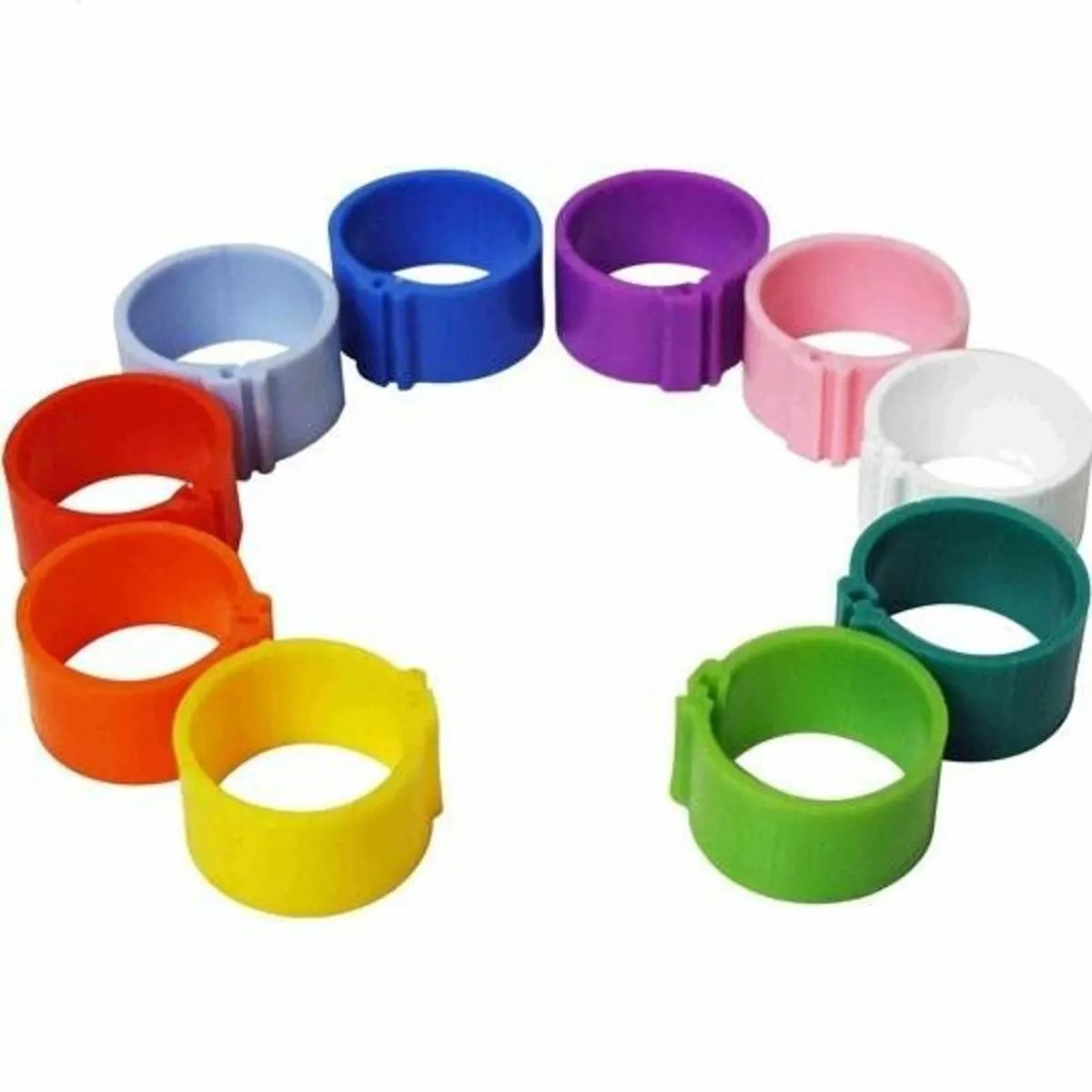 Leg Rings & Wing Tags for Poultry - Image 1