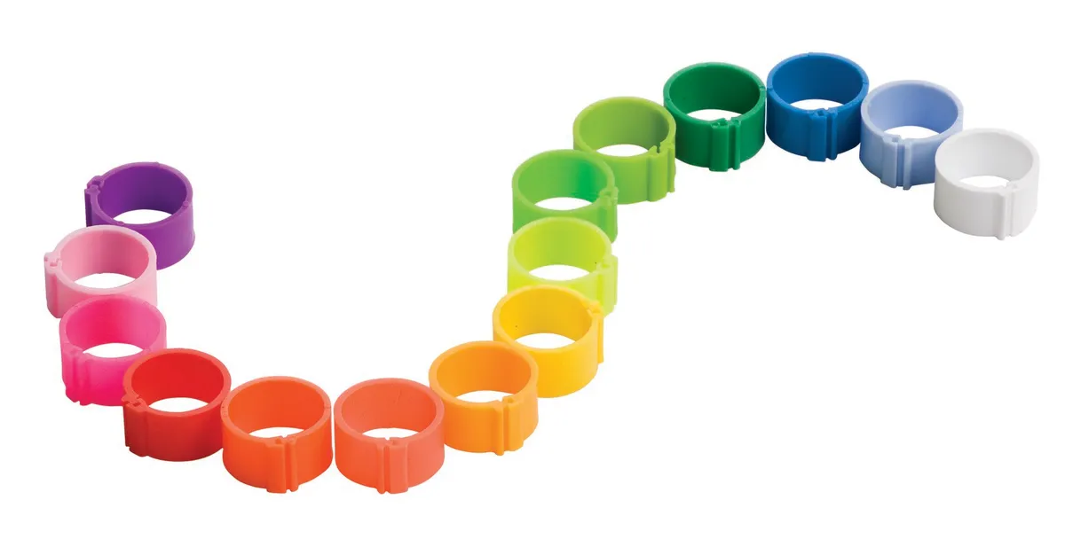 Leg Rings & Wing Tags for Poultry - Image 2