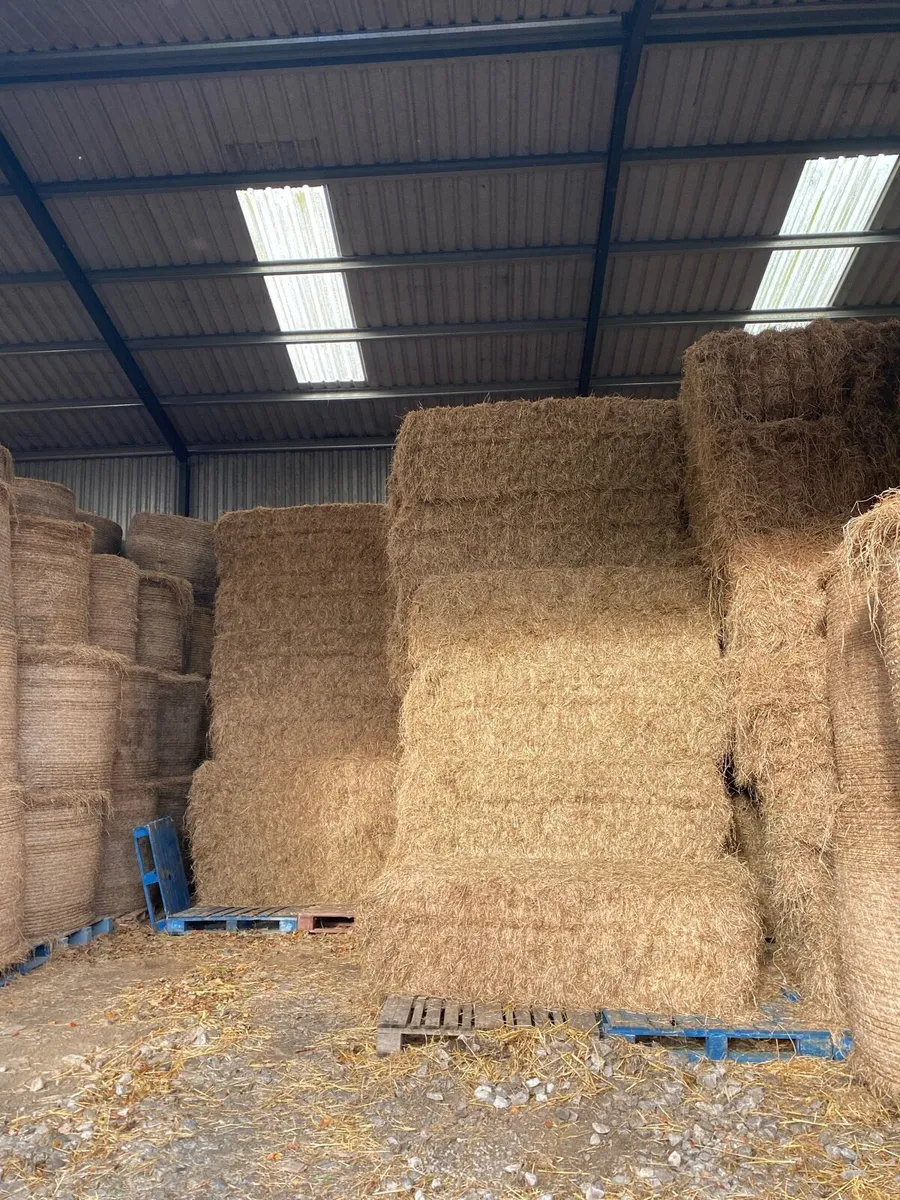 All types of hay for sale - Image 2