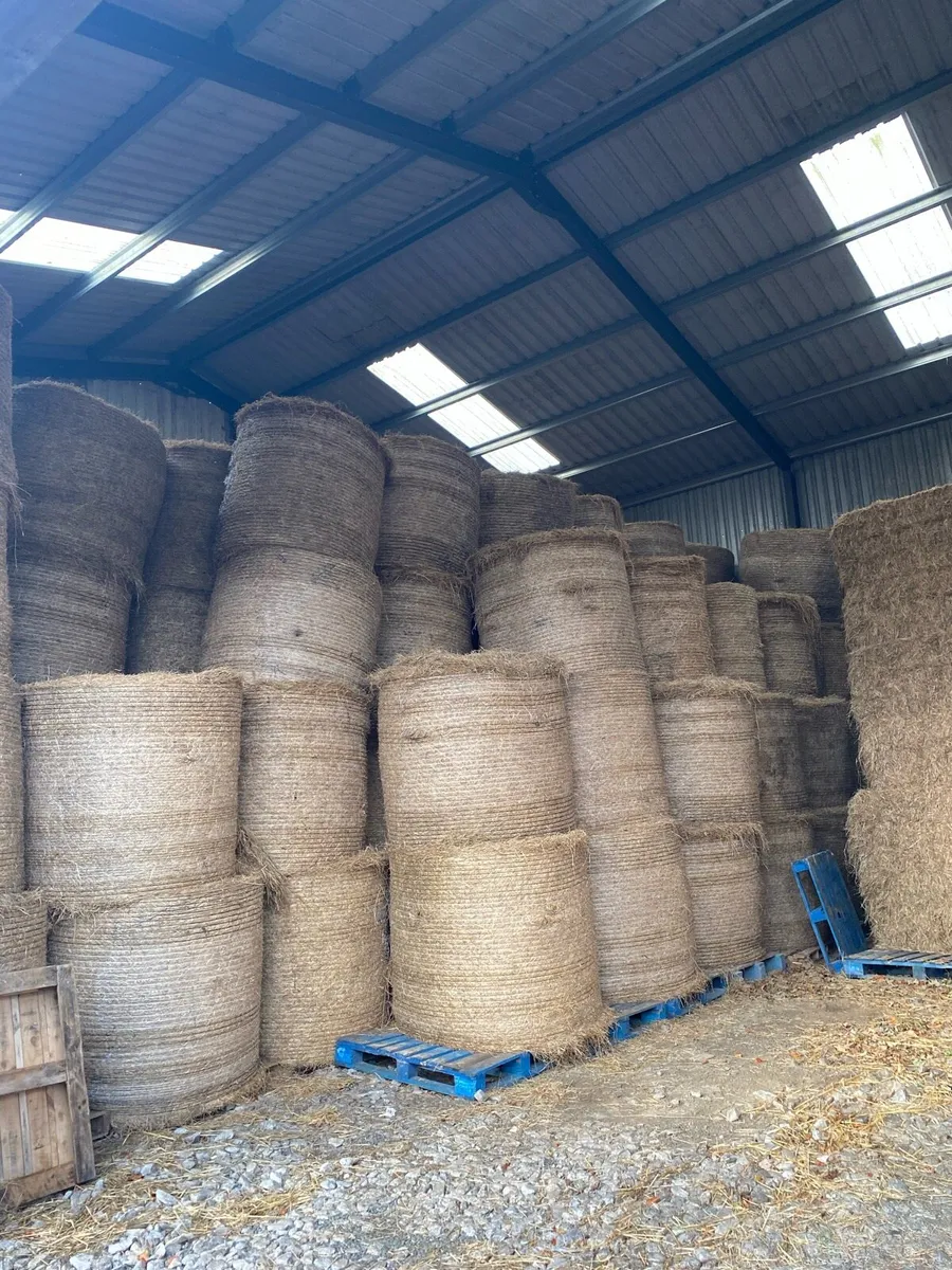 All types of hay for sale - Image 1