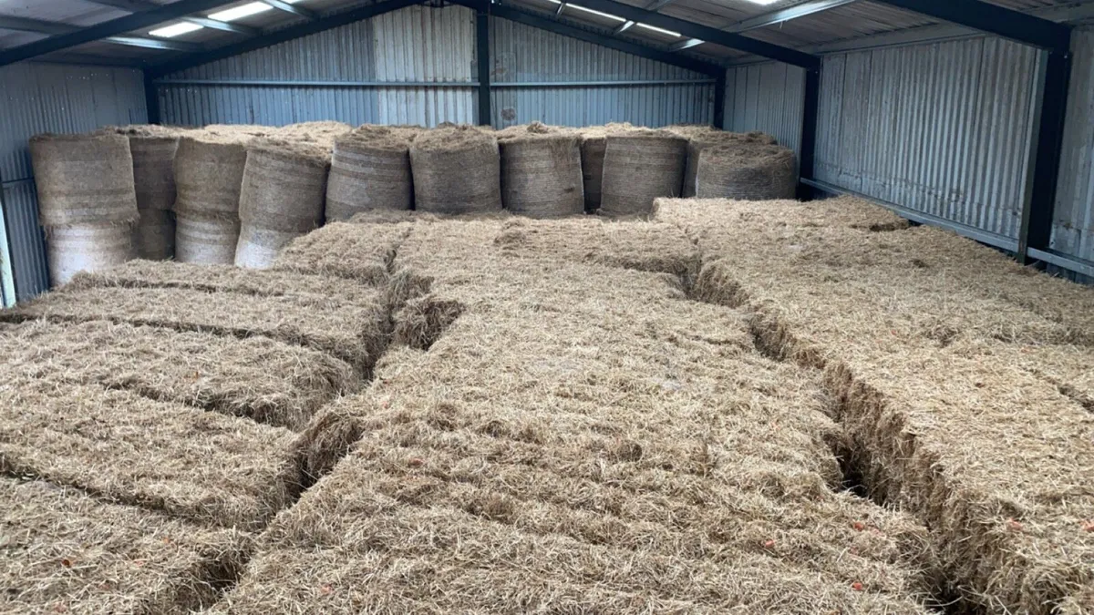 All types of hay for sale - Image 3