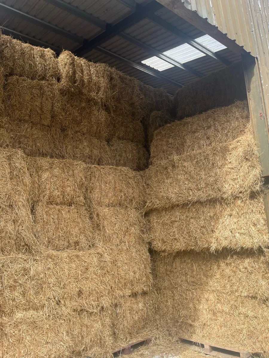 All types of hay for sale - Image 4