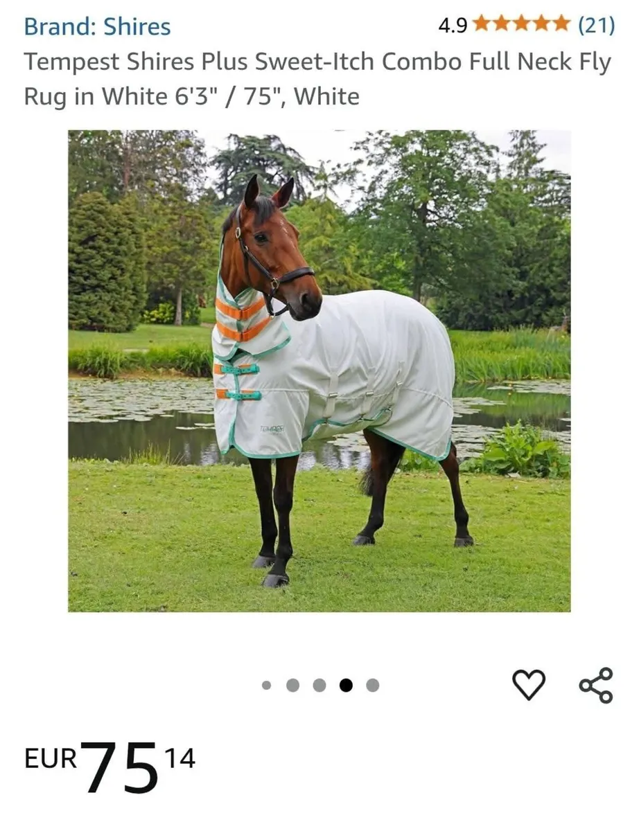 Horse 🐴 Rug - Image 1