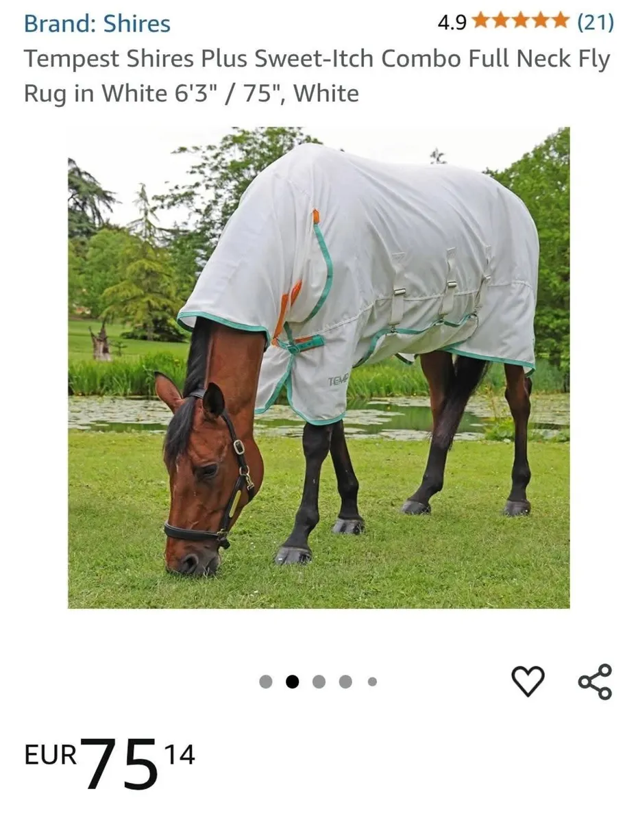 Horse 🐴 Rug - Image 3