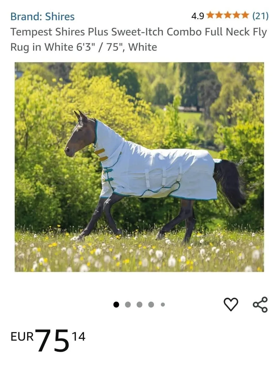 Horse 🐴 Rug - Image 4