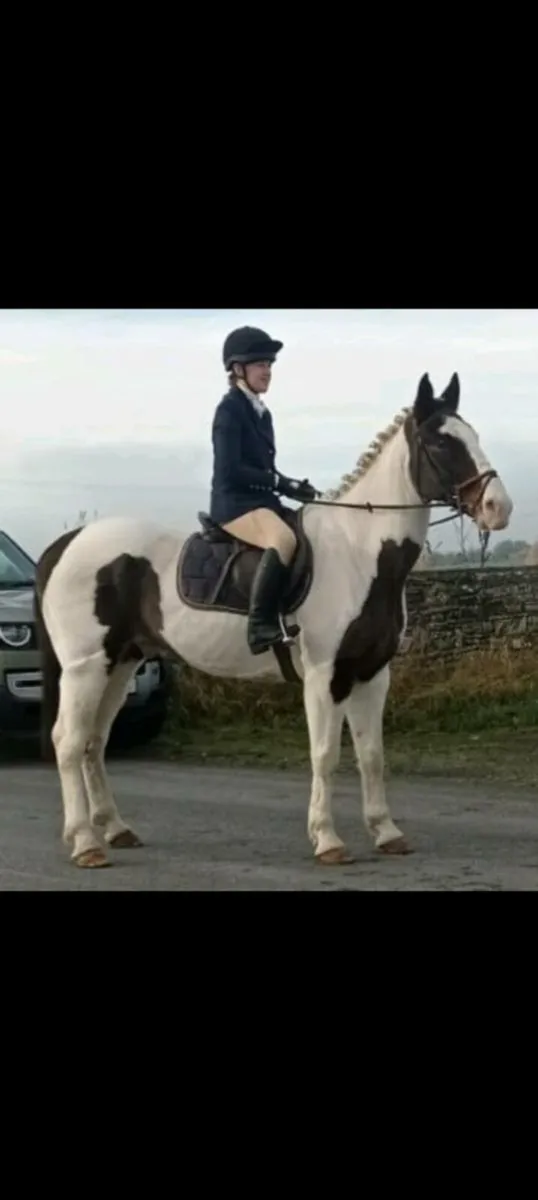 16.2 schoolmaster - Image 1