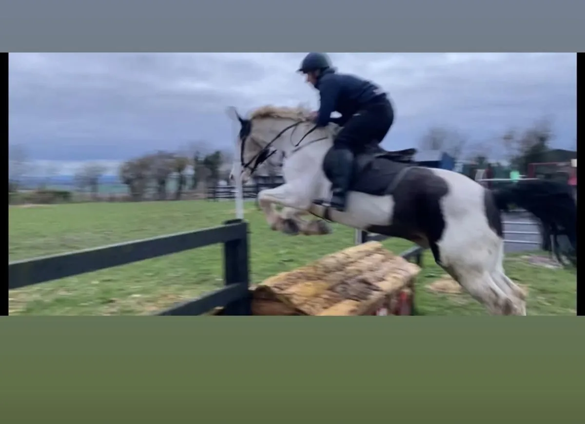 16.2 schoolmaster - Image 2