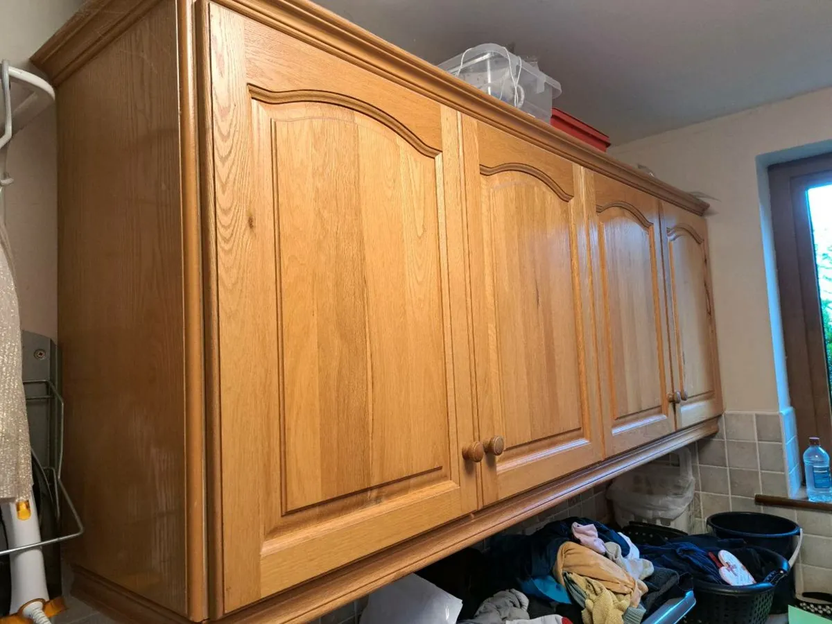 Cabinet Doors - Image 1