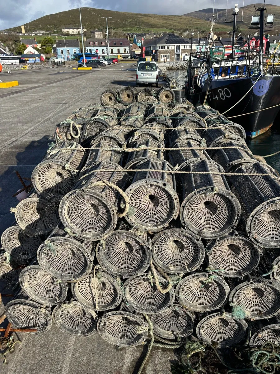 Shrimp pots - Image 1